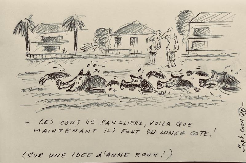 Consternation des sangliers